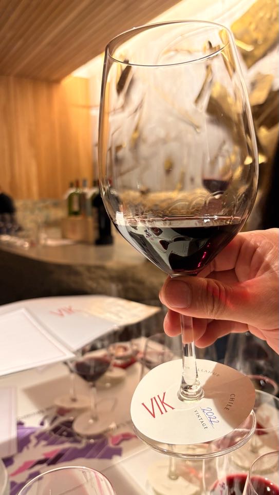 Taça de vinho no salão de degustação da VIK